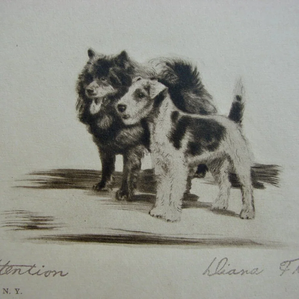 Vintage Antique Dog Art Etching Prints Terriers Chow Samoyed New York 5" x 4" - Picture 6 of 11